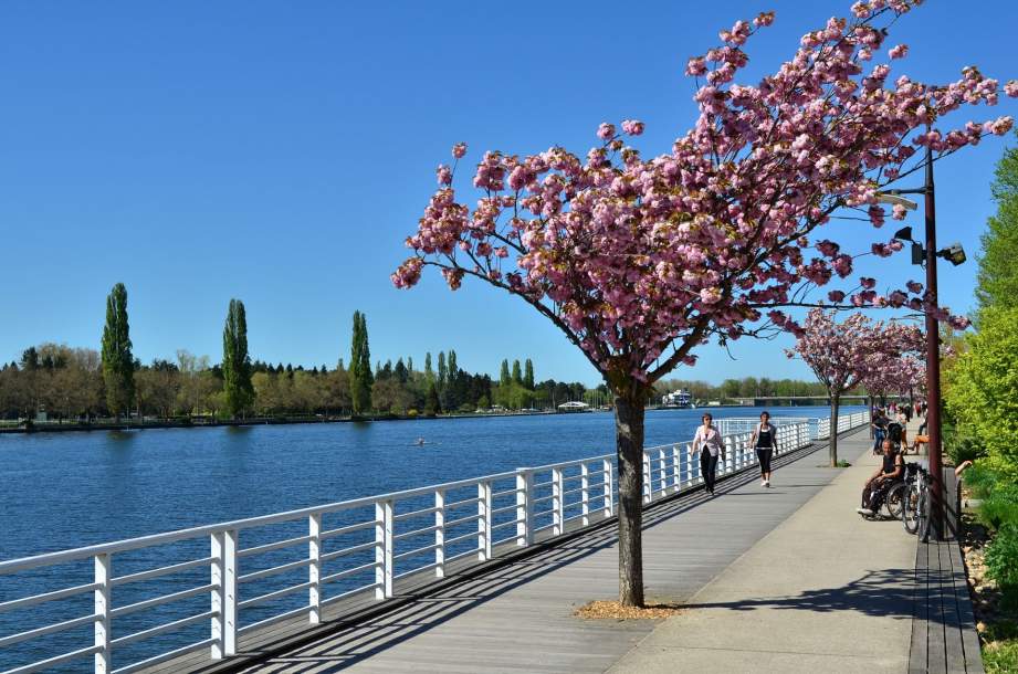 The banks of the Allier river