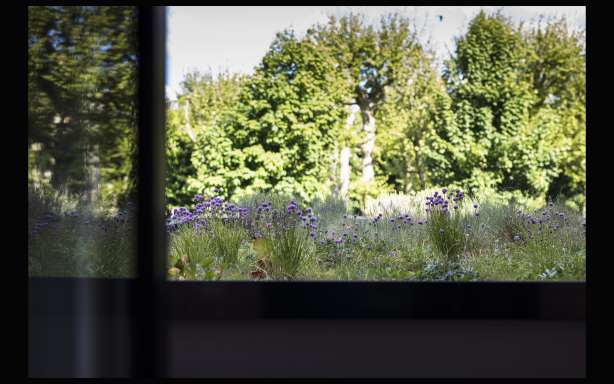 View from a room