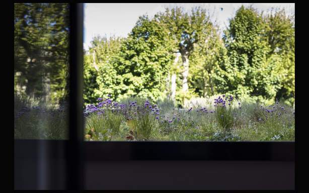 Vue depuis une chambre