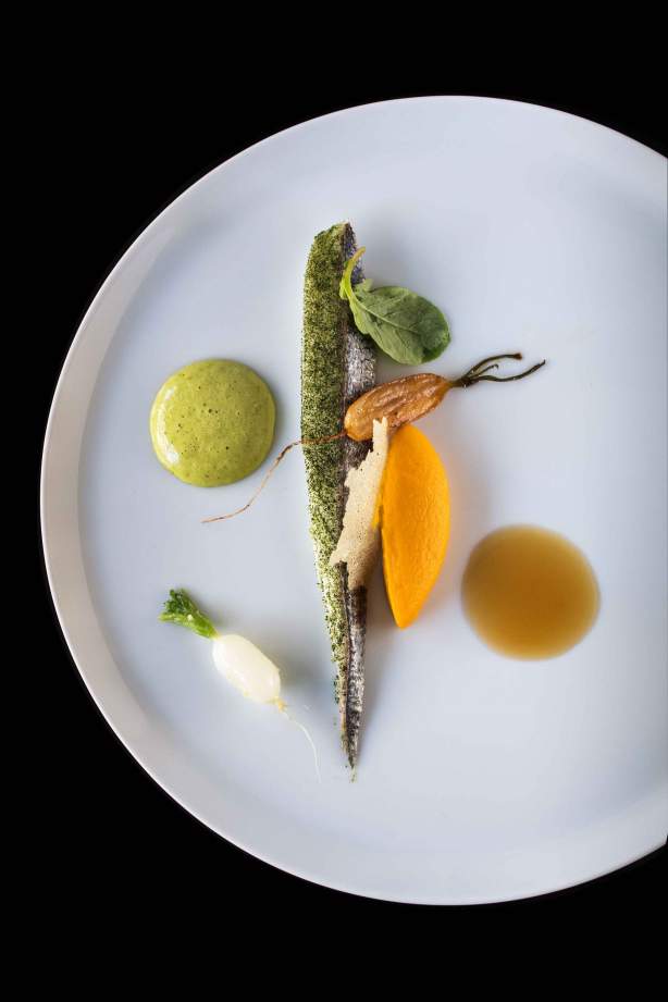Sea bream